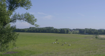 Extrait du film 'Vers une nouvelle ruralité ?' © Camille Van Durme, ICA WB