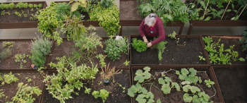 Where We Grow Older ©CCA