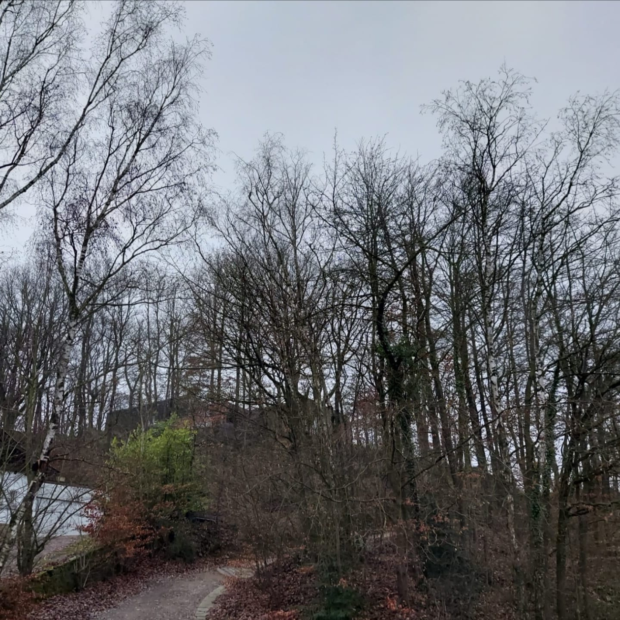 © Charlotte Marchal