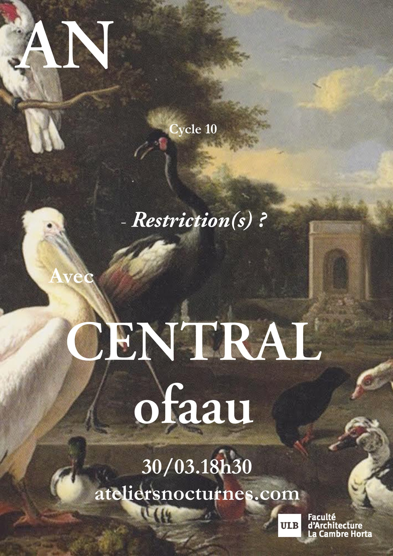 Image tirée d'un tableau de Melchior d'Hondecoeter