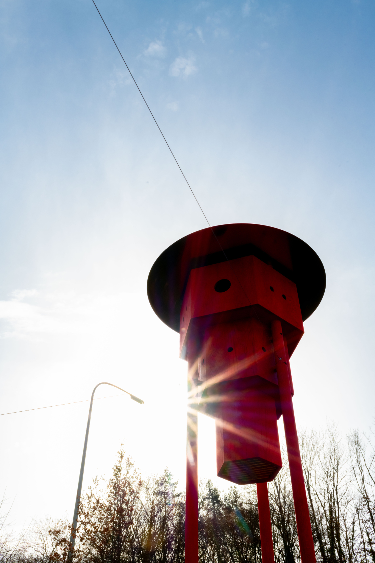 Missing link, CENTRAL © Mara De Sario