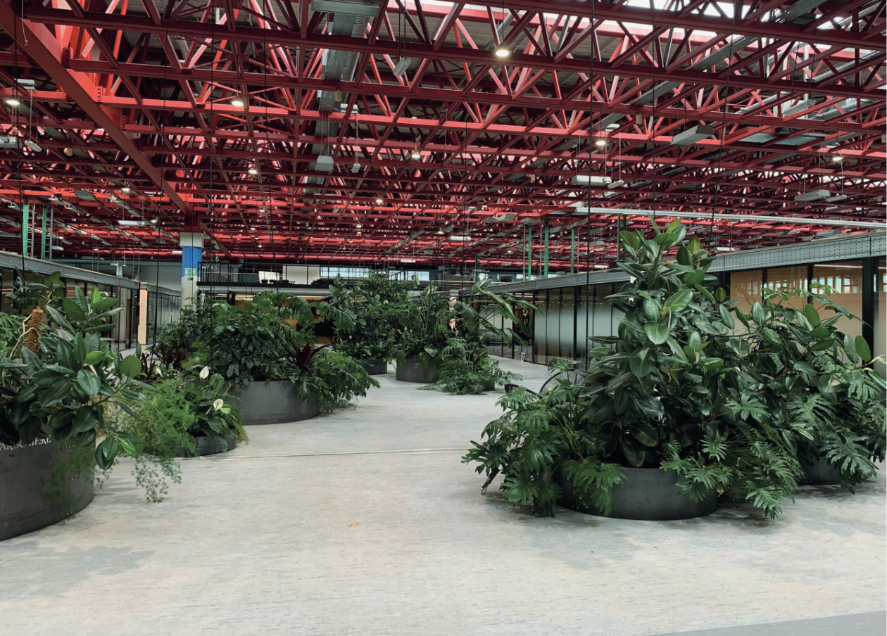 A6K-E6K, arch. Traumnovelle