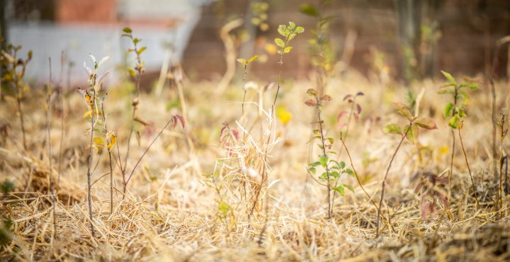 © Maison de L'Urbanisme du Brabant Wallon