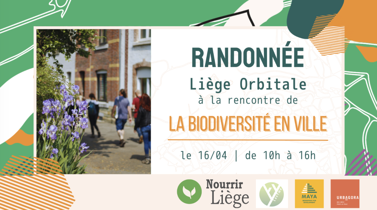 source : urbagora.be