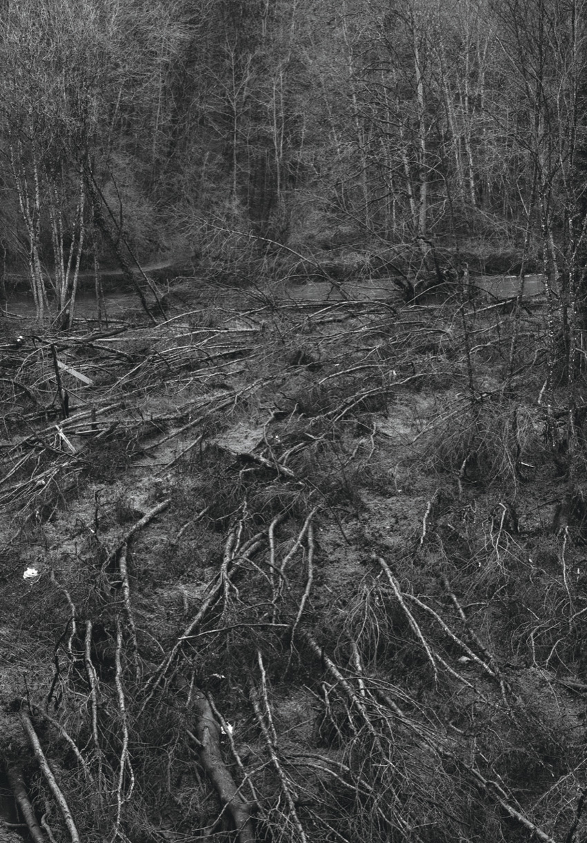 janvier 2022 © Gaël Turine