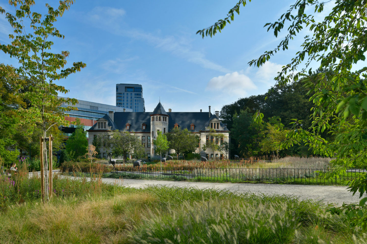 Extension du parc Léopold, MSA © Serge Brison