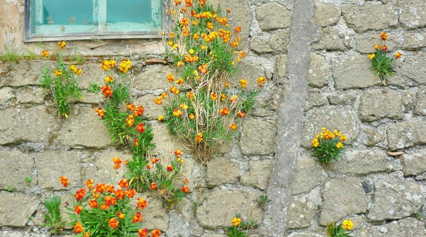 source: liegecreative.be