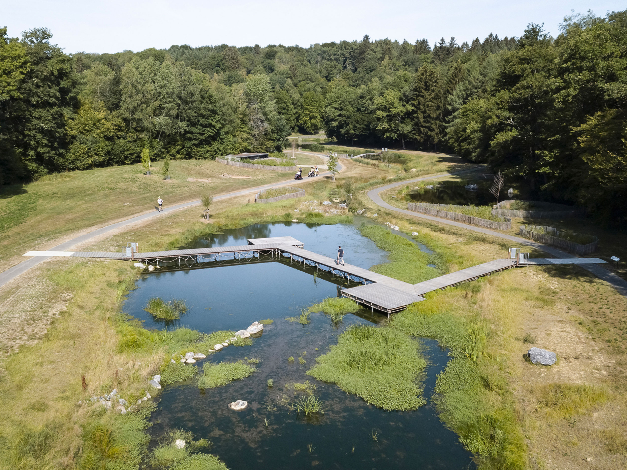 Zone humide de Chevetogne, Atelier Paysage © Maxime Vermeulen