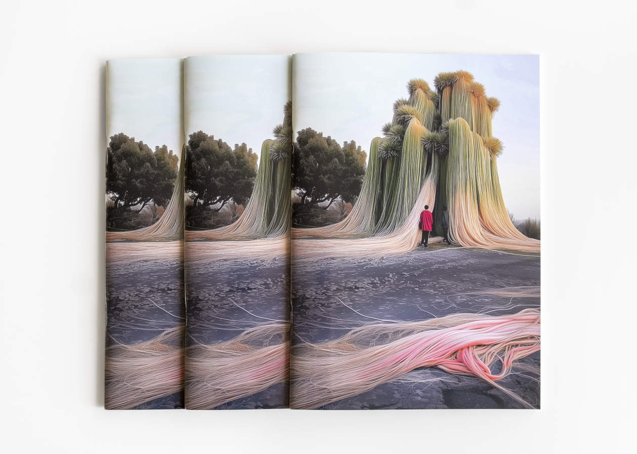 Cover © Pam & Jenny & IA