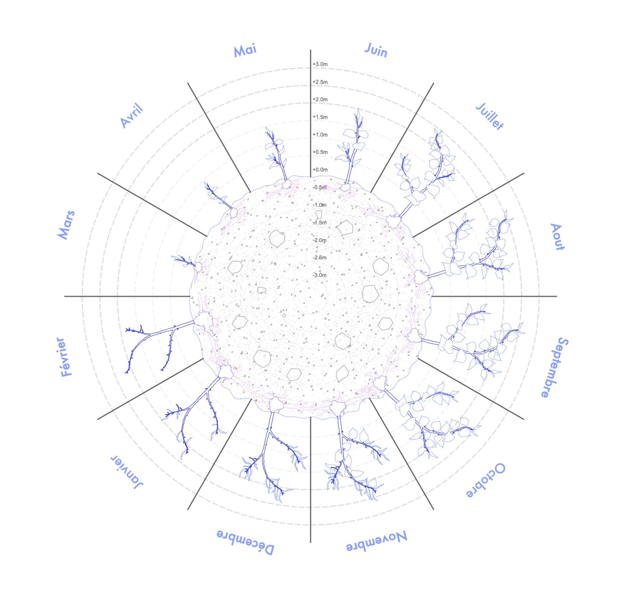 La dernière plante du monde — Cathy Crochemar et Tom Quin. Le cycle de la renouée © Tom Quin