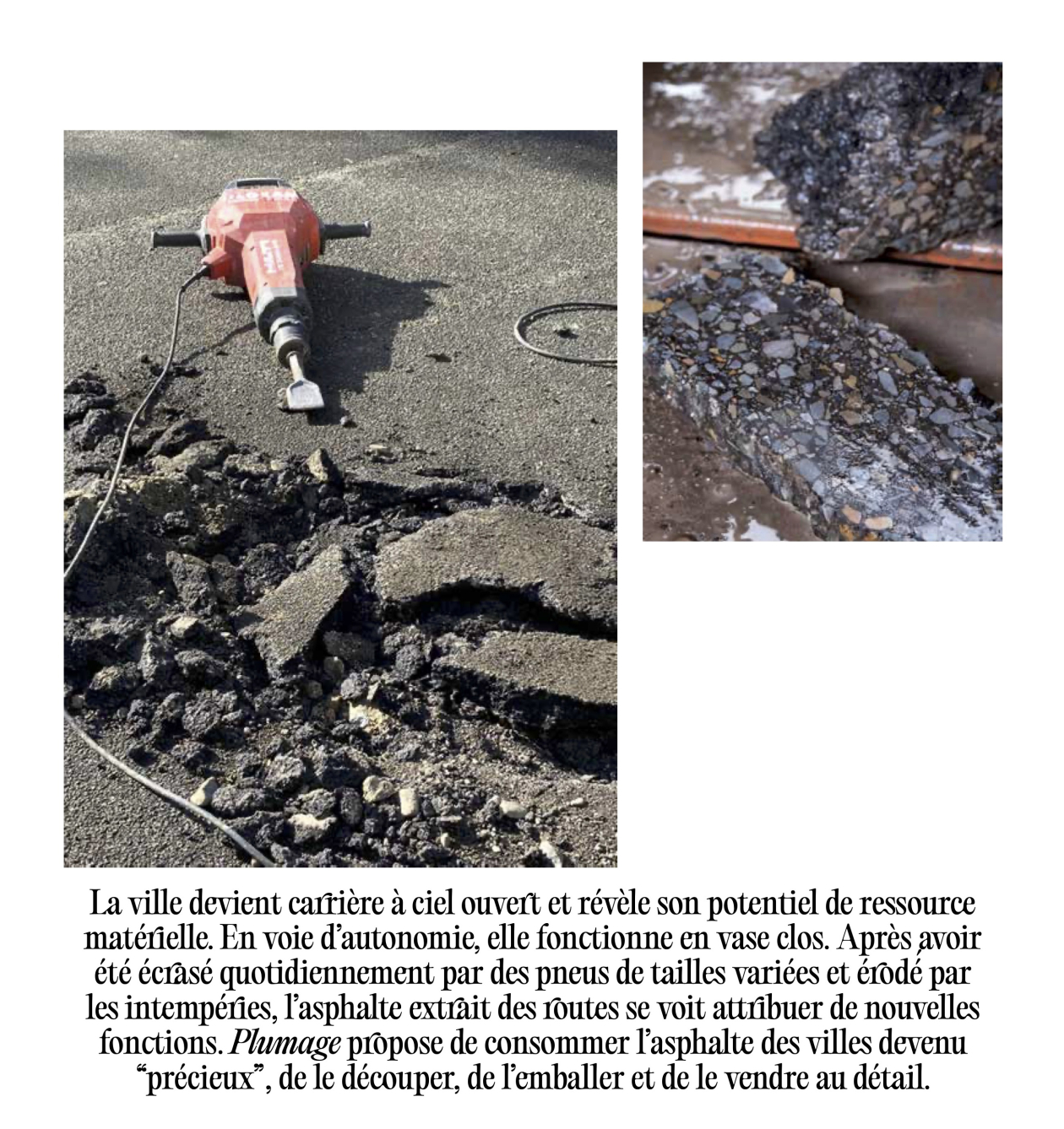 Plumage — dallas, Camille Bleker et Camille Gaillard